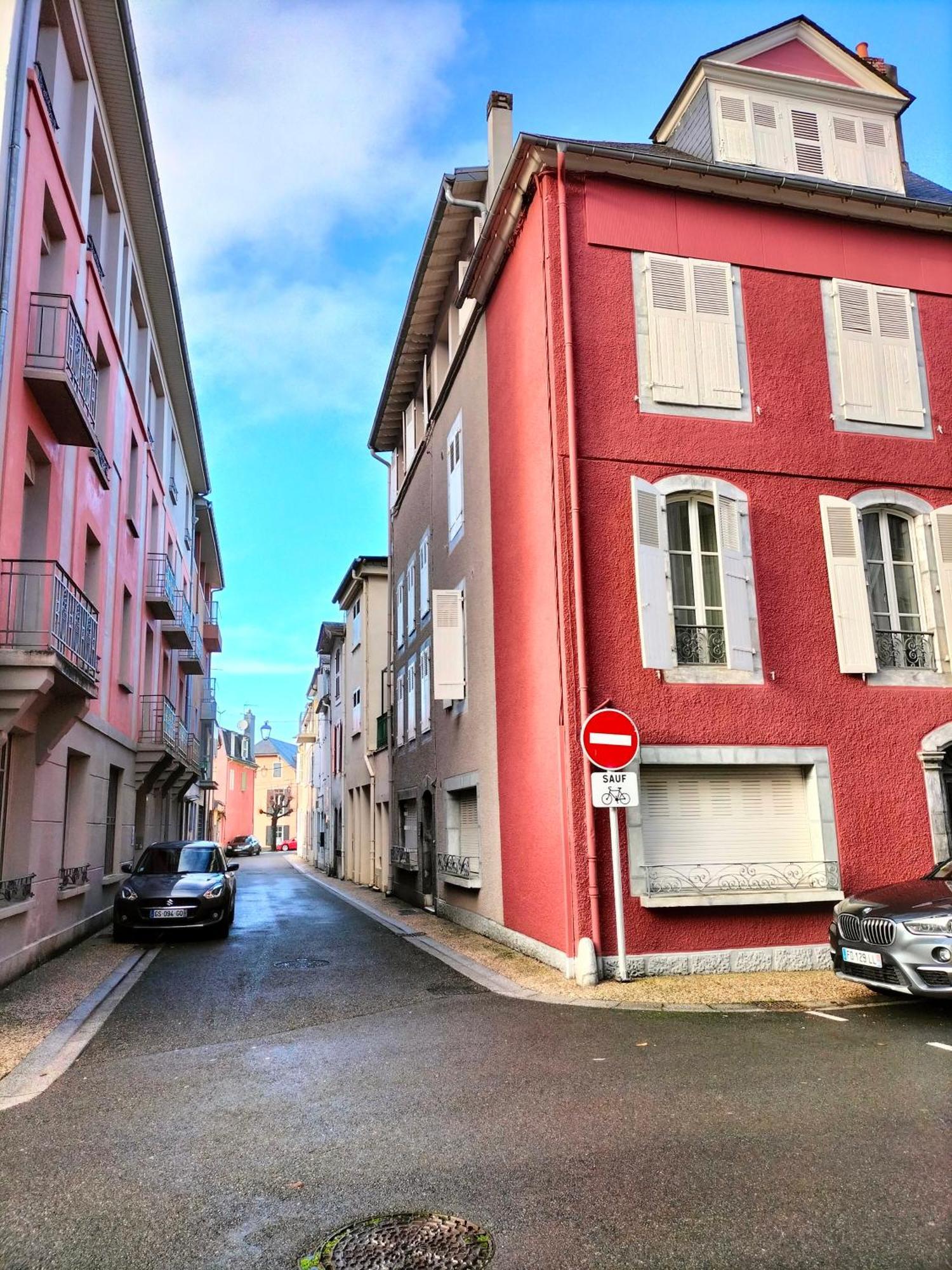 La Roseraie, Loft 3 Etoiles, Calme Et Ensoleille Au Pied Des Pyrenees Баньер-де-Бигор Экстерьер фото